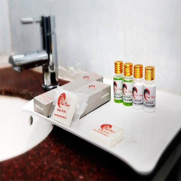 Hotel to stay in Udaipur